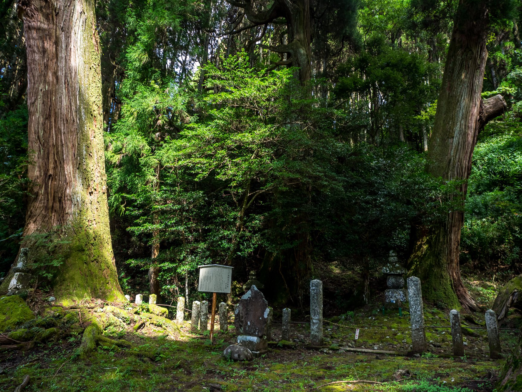 満願寺地蔵堂ー満願寺石塔群付杉群