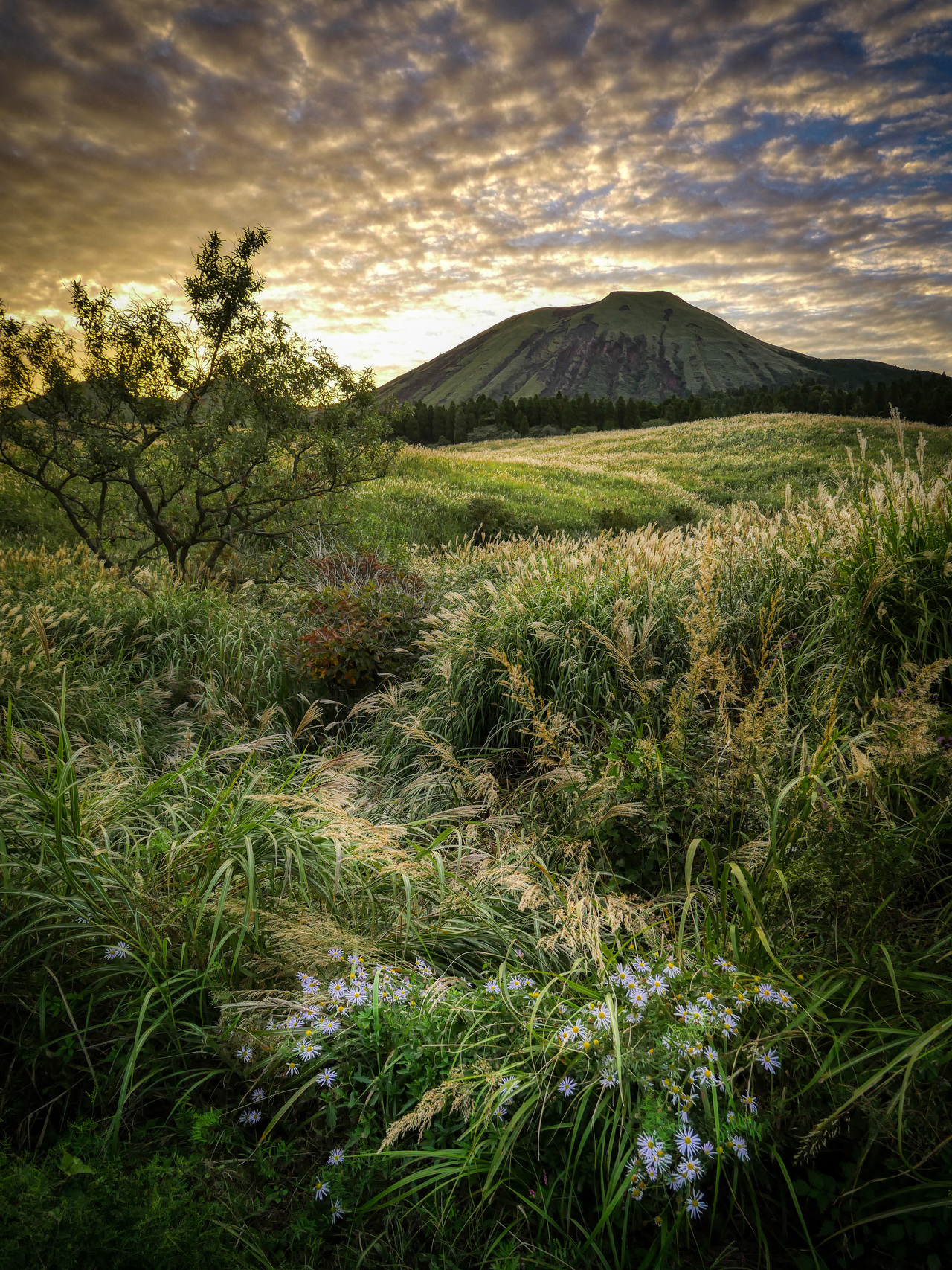 kumamoto-Mt._Kishima_in_autumn_seen_from_the_trail.-s.jpg