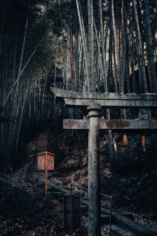 菊池-神龍八大龍王神社