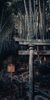 菊池-神龍八大龍王神社