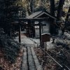 菊池-神龍八大龍王神社