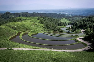 産山村の扇棚田（2008年撮影）