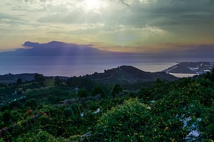 熊本市西区野毛の峠から島原を望む