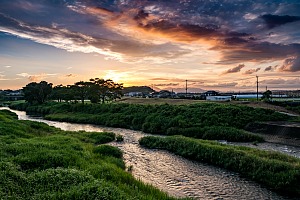 LUMIX G VARIO 12-32mm 撮影サンプル